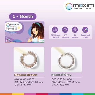 Maxim Blink Violet Box คอนแทคเลนส์สีรายเดือน (1 Box : 1 Pair)