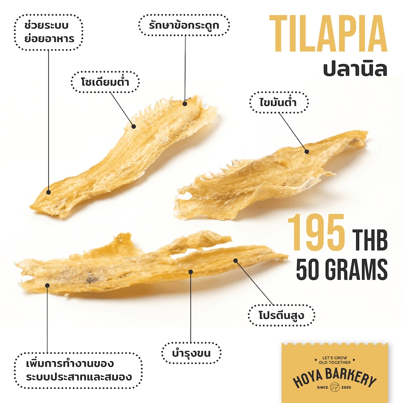 ปลานิลอบแห้ง ขนมน้องหมา Hoya Barkery ธรรมชาติ 100% Tilapia Fillet dog treat