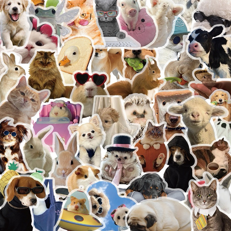 💥จัดส่งไว💥(246)สติกเกอร์ใสรูปสัตว์เลี้ยง 50 ชิ้น