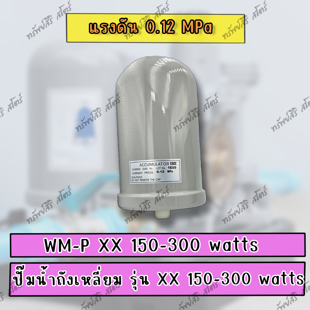 อะไหล่ปั๊มน้ำอัตโนมัติ HITACHI ถังแรงดันไนโตรเจน (BLADDER TANK B) ของแท้ - รูปที่ 3