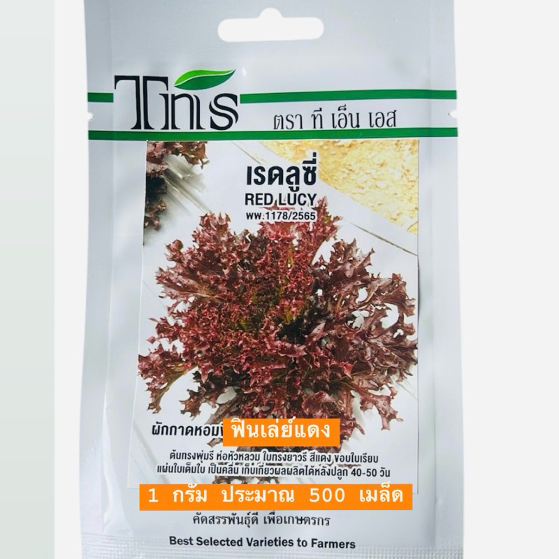 tns สลัด ฟินเล่ย์ แดง เรดลูซี่ (500 เมล็ด)