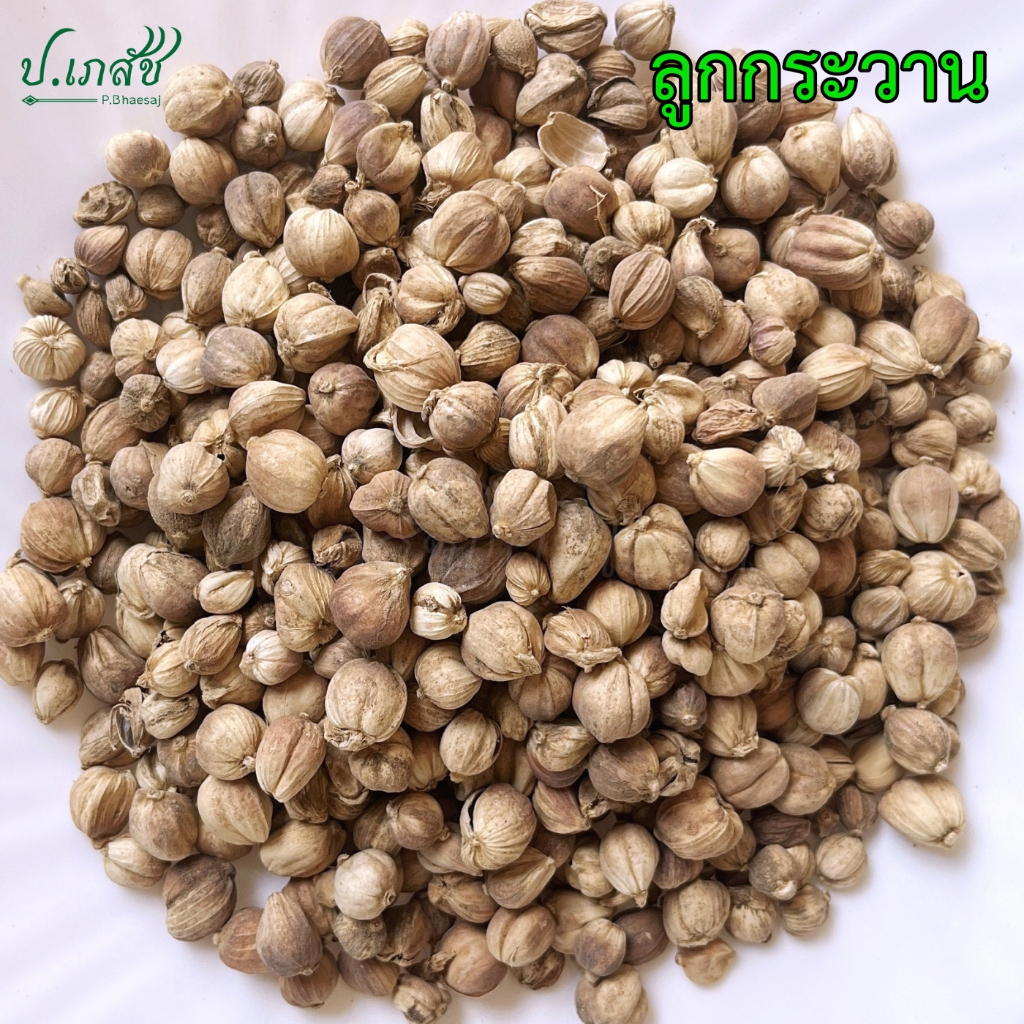 กระวาน เกรด A [50 / 100 กรัม] กระวานแห้ง กระวาน กระวานขาว กระวานไทย ลูกกระวาน
