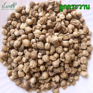 กระวาน เกรด A [50 / 100 กรัม] กระวานแห้ง กระวาน กระวานขาว กระวานไทย ลูกกระวาน
