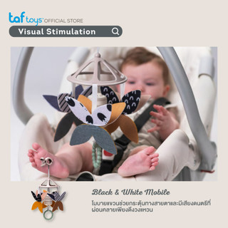 Taf Toys 出産祝いギフト Newborn Black & White Kit 新生児用おもちゃ 知育玩具 0か月から 画像3