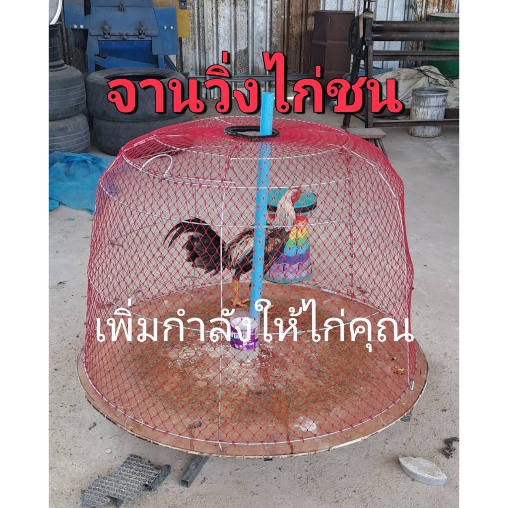 จานวิ่งเพิ่มกำลังไก่ชนจานกว้างขนาด 105 cm.พร้อมใช้งานใช้กับสุ่มไก่ที่บ้านได้
