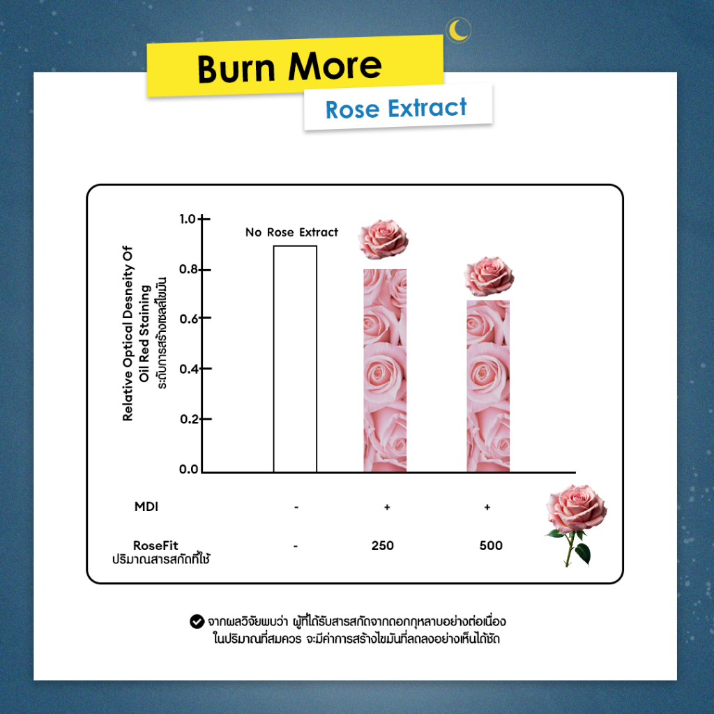 Nitetime ก่อนนอนเม็ดเดียว 4in1 สูตรลับ Food Lover by mojiko - รูปที่ 4