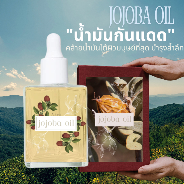 jojoba Oil น้ำมันโจโจ้บาร์ โฮโฮ่บาร์ออย น้ำมันนวดหน้า face oil น้ำมันกันแดด