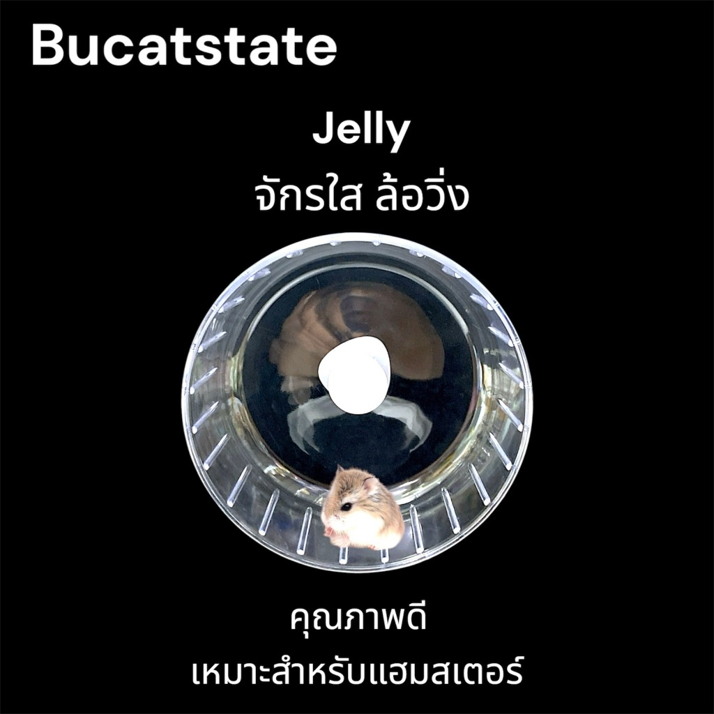 ร้านโทโมะ 💕 Bucatstate จักรใสรุ่น Jelly สามารถติดกรงได้เพื่อประหยัดพื้นที่ ล้อวิ่ง คุณภาพดี ราคาถูก เหมาะกับ แฮมสเตอร์