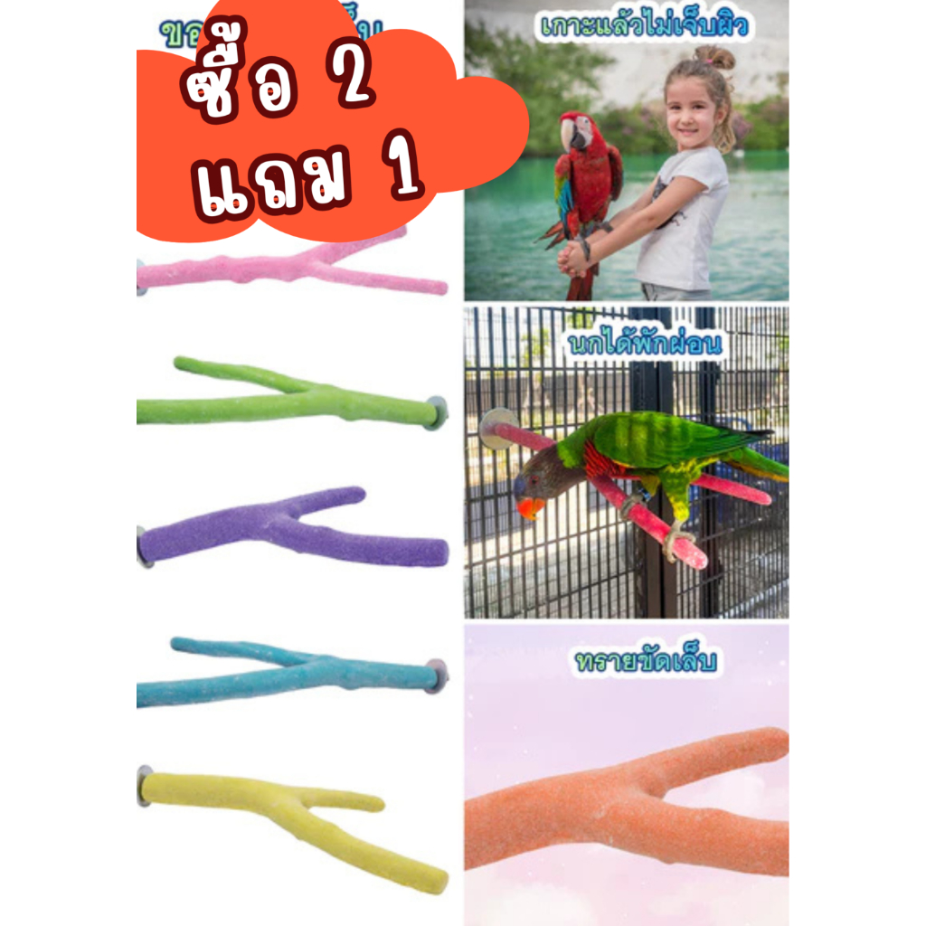 ขอนไม้ลับเล็บ ทรงกิ่งไม้ คลุกเต็ม ผิวบนเรียบ