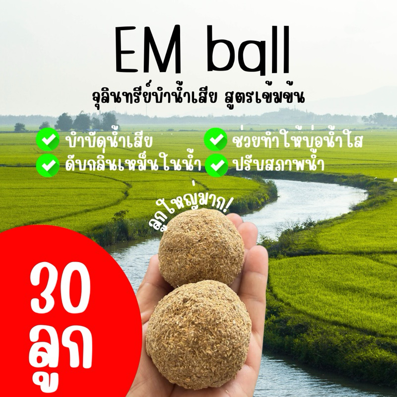 Em ball บำบัดน้ำเสีย ช่วยดับกลิ่นเหม็นจากน้ำเน่า แก้ปัญหาน้ำเน่าเสีย ตัวช่วยทำให้น้ำใส (30ลูก)