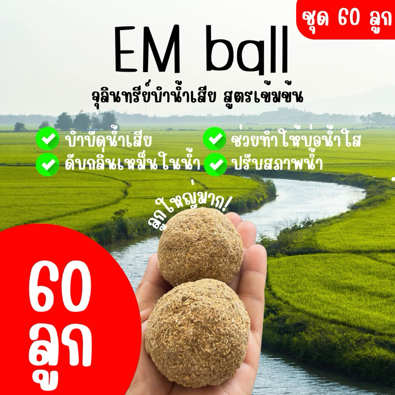 Em ball บำบัดน้ำเสีย ช่วยดับกลิ่นเหม็นจากน้ำเน่า แก้ปัญหาน้ำเน่าเสีย ตัวช่วยทำให้น้ำใส (60ลูก)