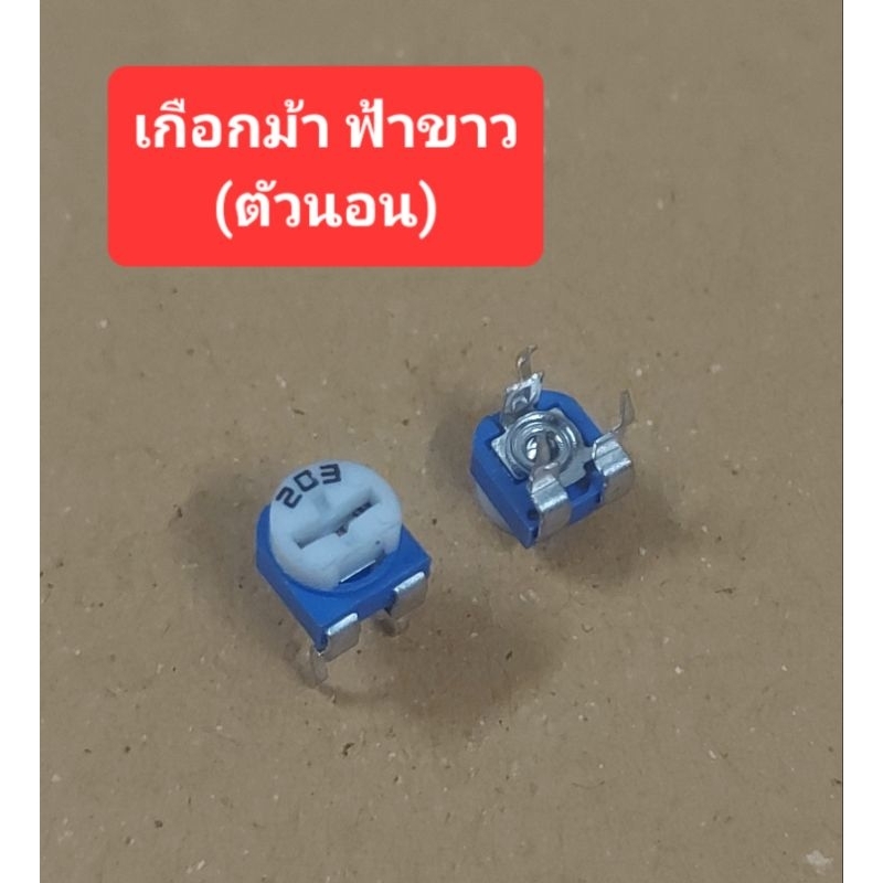 เกือกม้าฟ้าขาว (ตัวนอน) (ห่อละ10ตัว)(ราคาห่อละ)