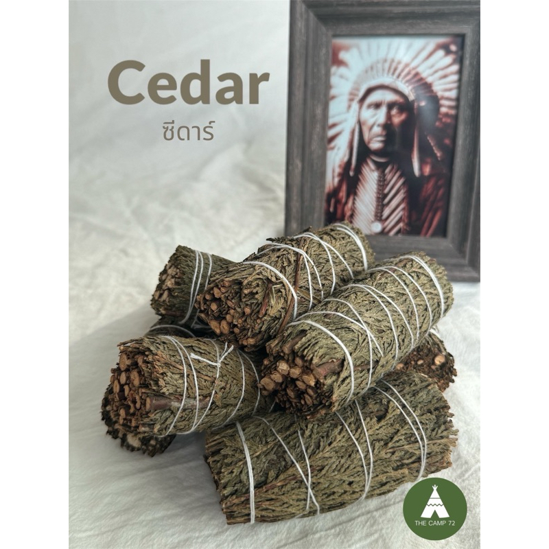พร้อมส่ง ถ่ายจากสินค้าจริง ซีดาร์ ใบต้นสนซีดาร์ Cedar smudge made in USA