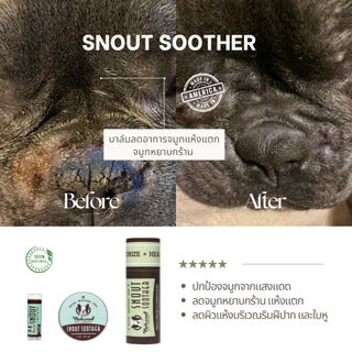 Snout Soother บาล์มทาจมูกสุนัข ขนาดพกพา 4.25g | แก้จมูกแห้ง แตก ลอก ช่วยให้ชุ่มชื้นอย่างอ่อนโยน | Natural Dog Company