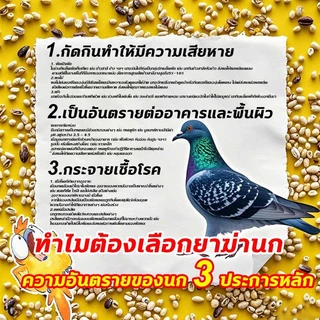 🕊️เห็นผลชัวร์100%🐦 แลนเนท ยาเบื่อนก ยาฆ่านกพิราบ 500กรัม ยากำจัดนกพิราบ ทำลายอวัยวะภายในตายใน 1วัน แห้งเร็วและไม่มีกลิ่น