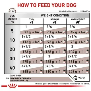 โปรดอ่านก่อนสั่ง Royal Canin Gastrointestinal 400g 1 กระป๋อง อาหารเปียกสุนัข การย่อยการดูดซึมอาหารผิดปกติ 400กรัม