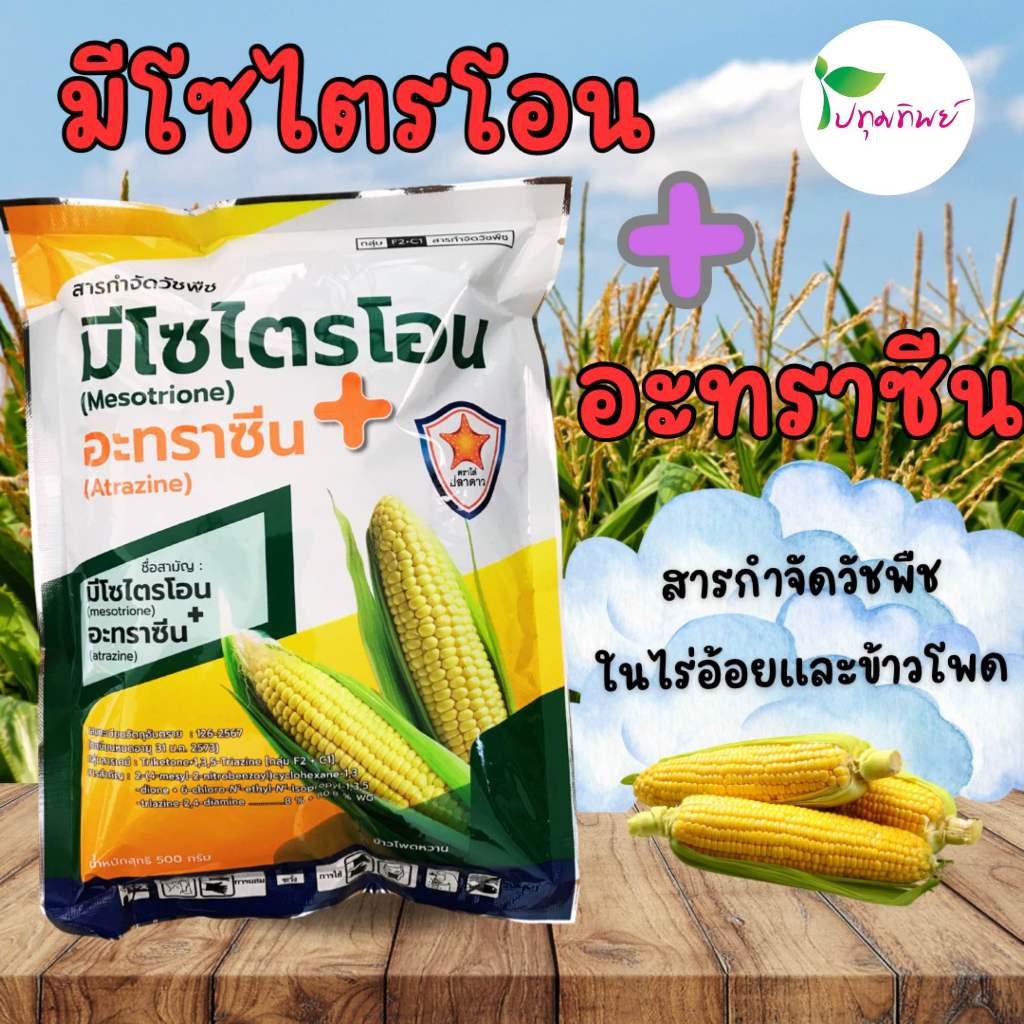 เมโซ่ ขนาด 1 กิโลกรัม ชื่อสามัญ มีโซไตรโอน+อะทราซีน กำจัดหญ้าได้ทั้งใบแคบและใบกว้าง ในอ้อยและข้าวโพด