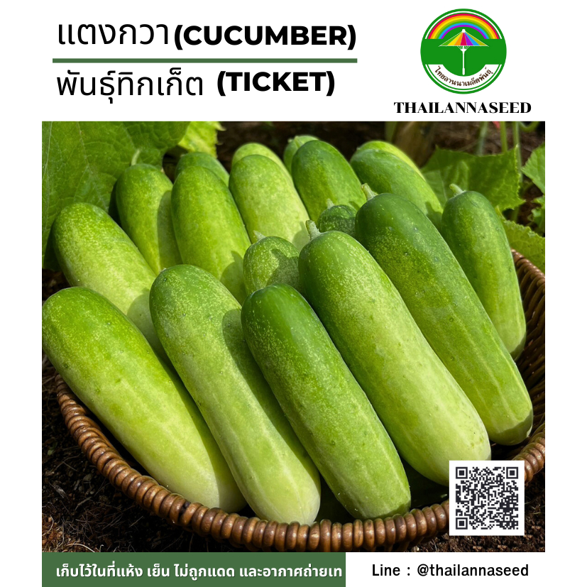 เมล็ดพันธุ์ผักสวนครัว แตงกวา พันธุ์ทิกเก็ต ( ขนาด 0.5 กรัม ) รหัสสินค้า 6034