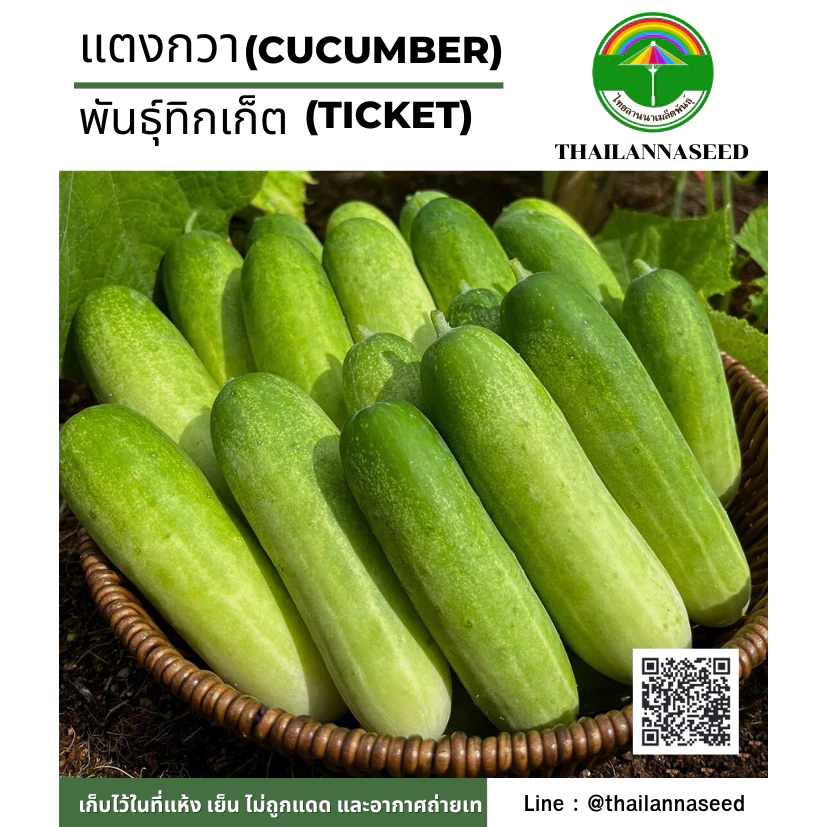เมล็ดพันธุ์ผักสวนครัว แตงกวา พันธุ์ทิกเก็ต ( ขนาด 0.5 กรัม ) รหัสสินค้า 6034