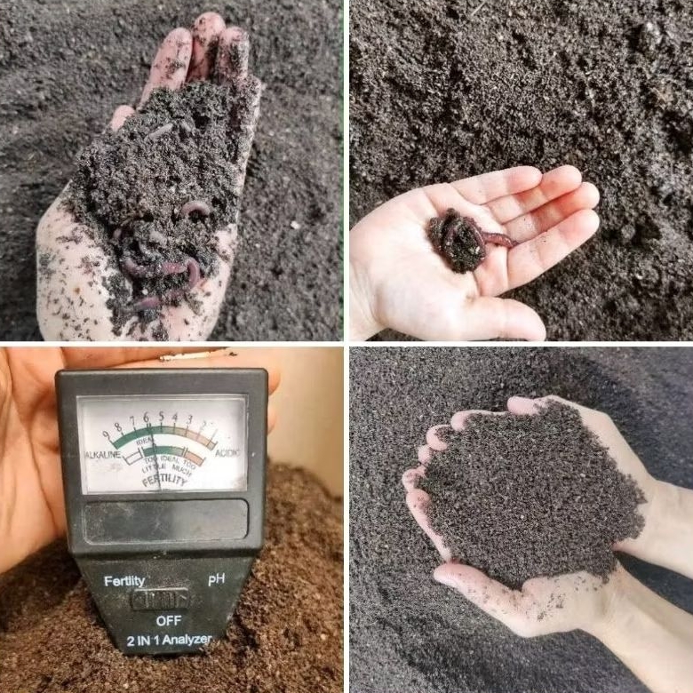 High Quality Worm Castings Organic Fertilizer perfect (20kg)มูลไส้เดือน คุณภาพ เสริมธาตุอาหาร