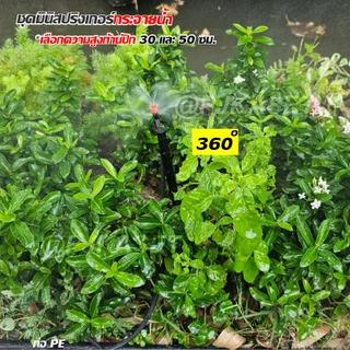 ชุดมินิสปริงเกอร์ กระจายน้ำ 90 180 360 องศา พร้อมขาปัก 30ซม. และ50 ซม. พร้อมสายไมโครยาว 1 ม.