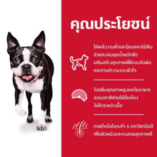 Hill's ฮิลส์ อาหารสุนัข Science Diet Adult Light Small Bites สุนัขโต ทำหมัน ไขมันต่ำ คุมน้ำหนัก เม็ดเล็ก กระสอบ 12 kg