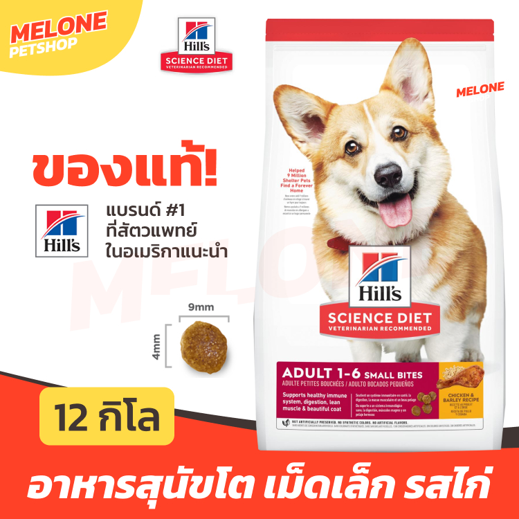 Hill's อาหารสุนัข ฮิลส์ สูตร Science Diet สำหรับ สุนัขโต Adult Small Bites เม็ดเล็ก 1-6 ปี กระสอบ 12 kg