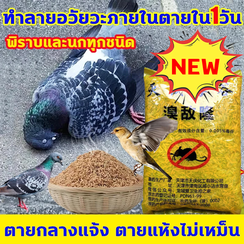 2500g เหยื่อกำจัดนกพิราบและนกทุกชนิด ยาฆ่านก ยาเบื่อนกพิราบ ตายกลางแจ้งตายแห้งไม่เหม็น เหยื่อกำจัดนกพิราบ ยากำจัดนกพิราบ