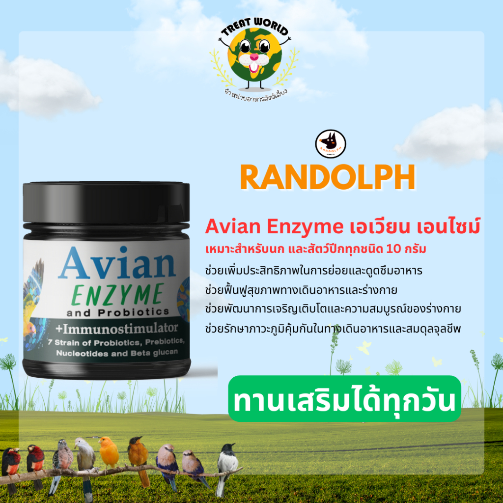 Treat_World Avian Enzyme เอเวียน เอนไซม์ 10กรัม อาหารเสริมแบบผง ย่อยและดูดซึมอาหา สำหรับ นกทุกสายพัน