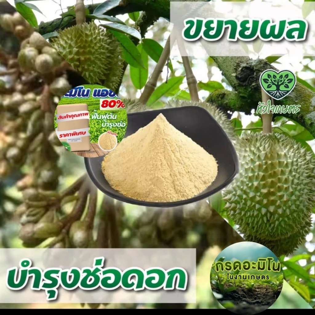 กรดอะมิโน20ชนิด80%1กิโลกรัม Amino Acid Powder อะมิโน แอซิด (อะมิโนพืช)