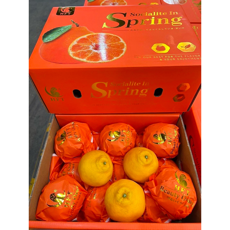 🍊ส้มจุก สายพันธุ์ญี่ปุ่น ตรานกแก้ว 🦜