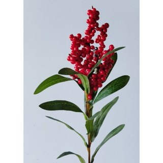 ผลไม้ปลอม เอาไว้ล่อนก