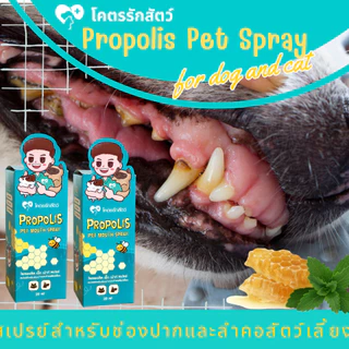 สเปรย์พ่นปากสัตว์เลี้ยง โพรพอลิส โคตรรักสัตว์ Spray 20 มล.