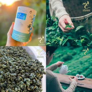 ชามรกต 4 ฤดู Four Season Emerald Oolong Tea ชาอู่หลง ชา4ฤดู เบอร์ 21 - ตรา ชาไทยมรกต ใบชาโชคจำเริญ