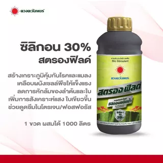 ปุ๋ยน้ำ สตรองฟิลด์ ซิลิกอนเข้มข้น30% เสริมแกร่งให้ผนังเซลล์พืช(ลำต้นแข็งแรง มีภูมิต้านทานโรคและแมลง)