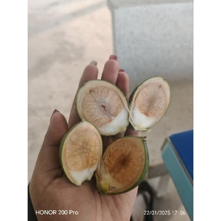 หมากอ่อน​ชั่งส่ง1กิโลกรัม​ ประมาณ​25-30ลูกแถมทุกออเดอร์​