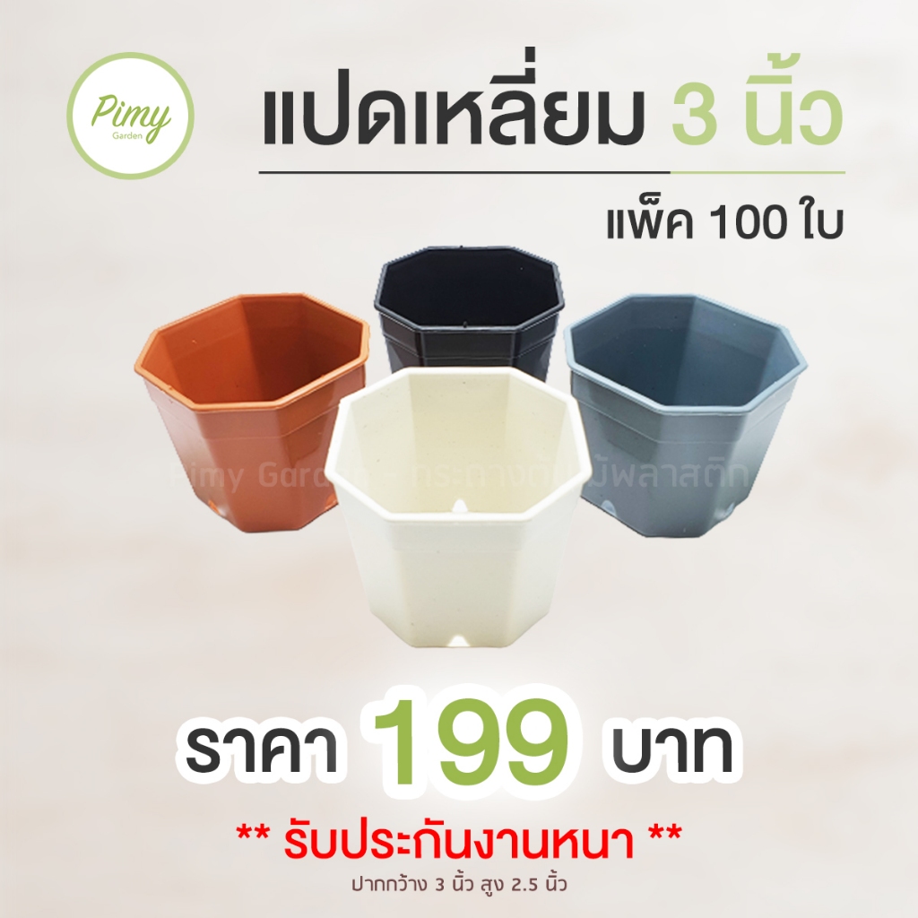 กระถางแคคตัส ทรงแปดเหลี่ยม 3 นิ้ว 100 ใบ (สีขาว สีดำ สีเทา สีอิฐ)