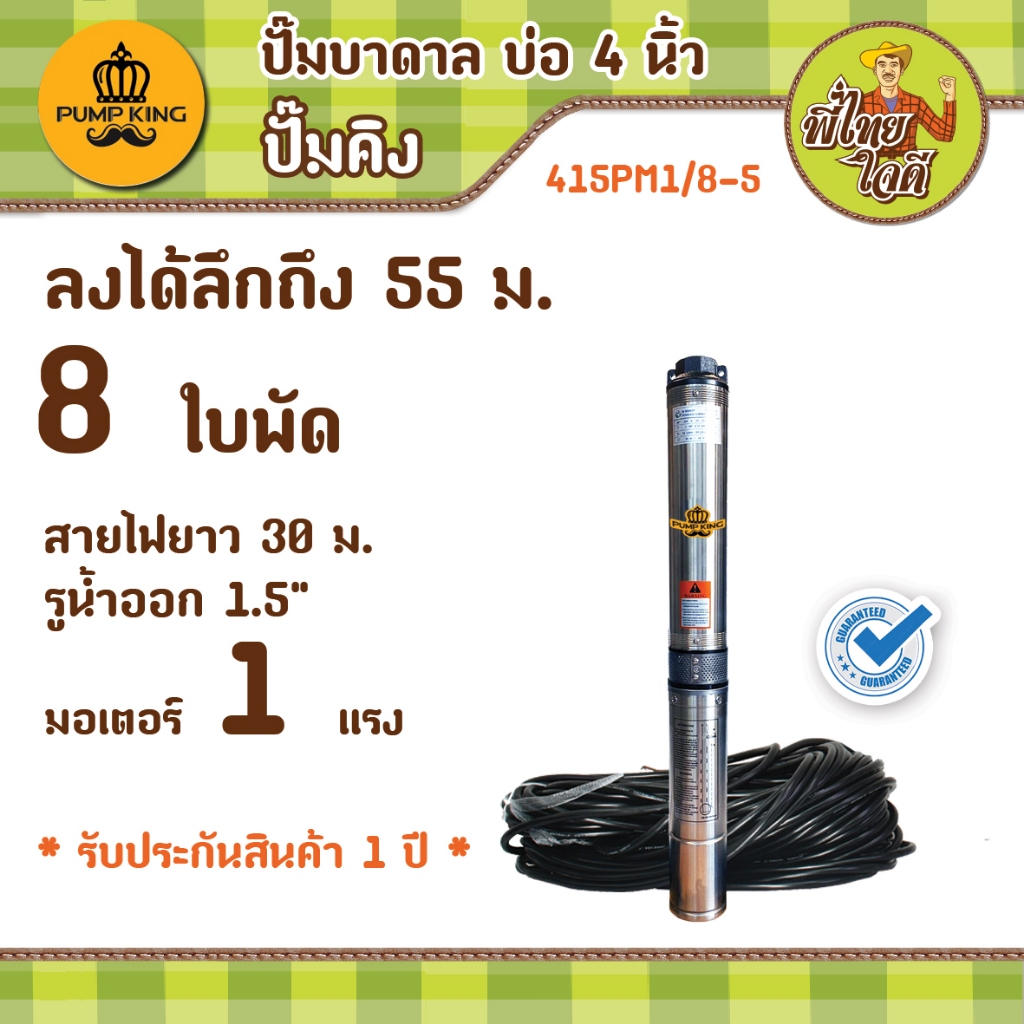 ปั๊มบาดาล บ่อ 4 นิ้ว รุ่น 415PM1/8-5