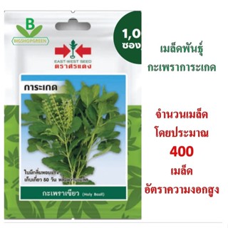 5 ฟรี 1 คละได้ เมล็ดพันธุ์ กะเพรา การะเกด ศรแดง เมล็ดพันธุ์ผ…