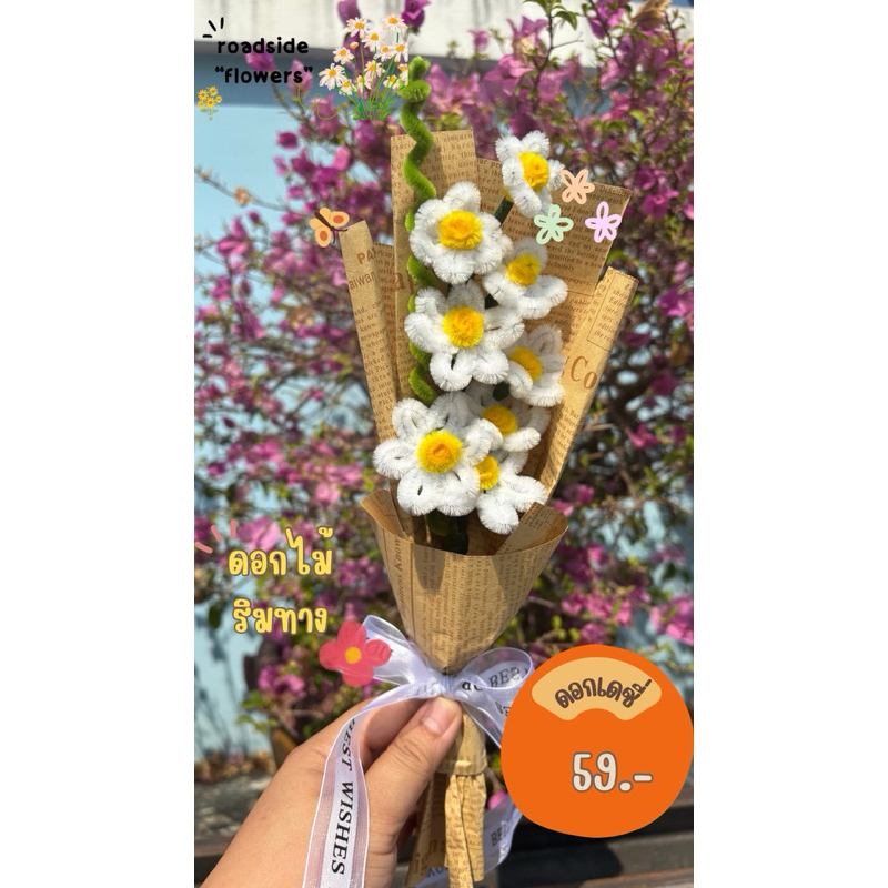 พร้อมส่ง ช่อเดชี่ ของขวัญให้เพื่อน ของขวัญปัจฉิม ของขวัญ