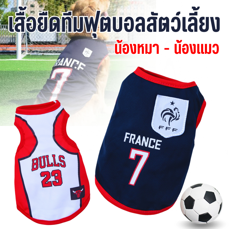 เสื้อยืดสัตว์เลี้ยง เสื้อน้องหมา น้องแมว เสื้อทีมฟุตบอล ทีมบาสเก็ตบอล เสื้อใส่สบาย เสื้อบอล