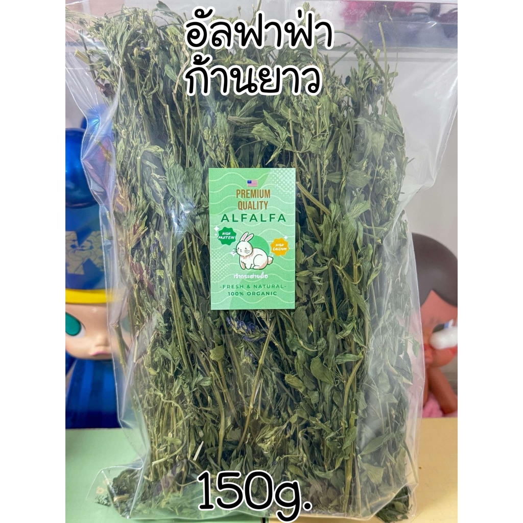 เข้าใหม่เดือนมกราคม 68 Super Premium Alfalfa หญ้าอัลฟาฟ่าพรีเมี่ยม คัดเฉพาะยอด ก้านอ่อน ใบเขียว หอมมาก