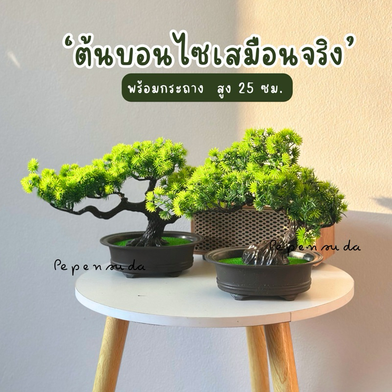 [ออกใบกำกับภาษีได้]ต้นบอนไซเทียม 🌳 พร้อมกระถางแต่งหญ้าเทียม ต้นไม้มงคล สินค้าแนะนำ
