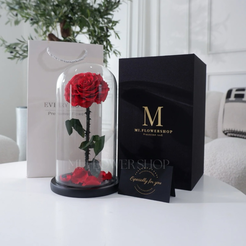 กุหลาบอมตะในโหลแก้ว 🌹 ไซส์ XL หลากสี ไอเดียของขวัญ วันวาเลนไทน์ - รูปที่ 2