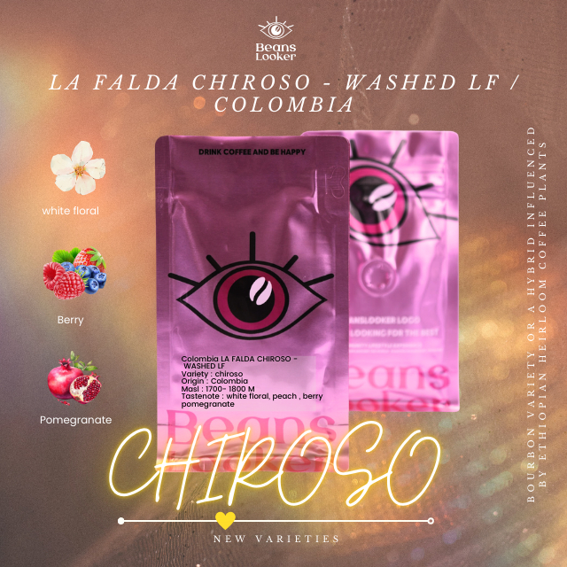 COLOMBIA LA FALDA CHIROSO WASHED