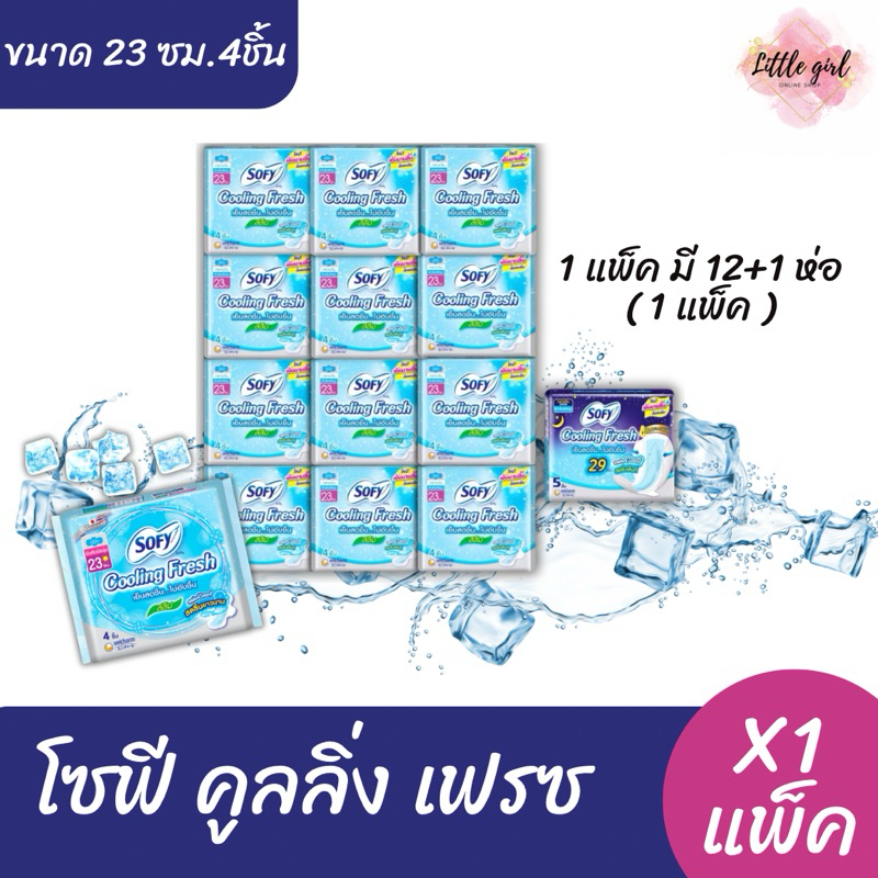 (ยกแพ็ค) โซฟี คลูลิ่ง เฟรช 23 ซม. 4 ชิ้น 12 ห่อ ฟรี กลางคืน 1 ห่อ