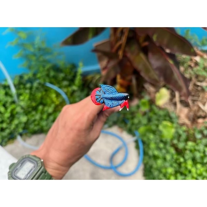 ไม้ล่อปลากัดป่าใต้น้ำเงินวงแดง