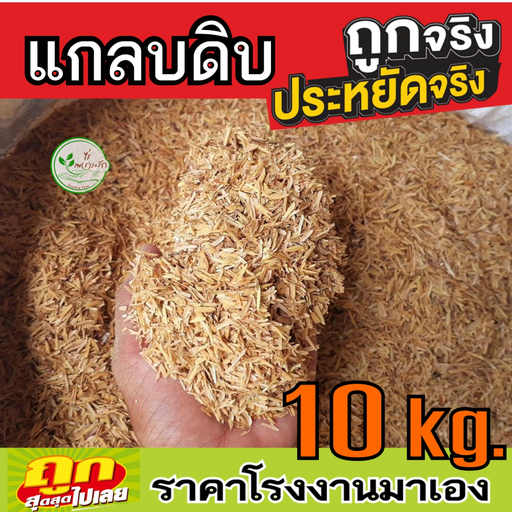 แกลบดิบ แกลบใหม่ แกลบ คุณภาพดี กระสอบ 10 กิโล แกลบแห้ง เลี้ยงสัตว์ อุ้มน้ำรักษาความชุ่มชื้นในดินผสมดินปลูกให้ร่วนซุย