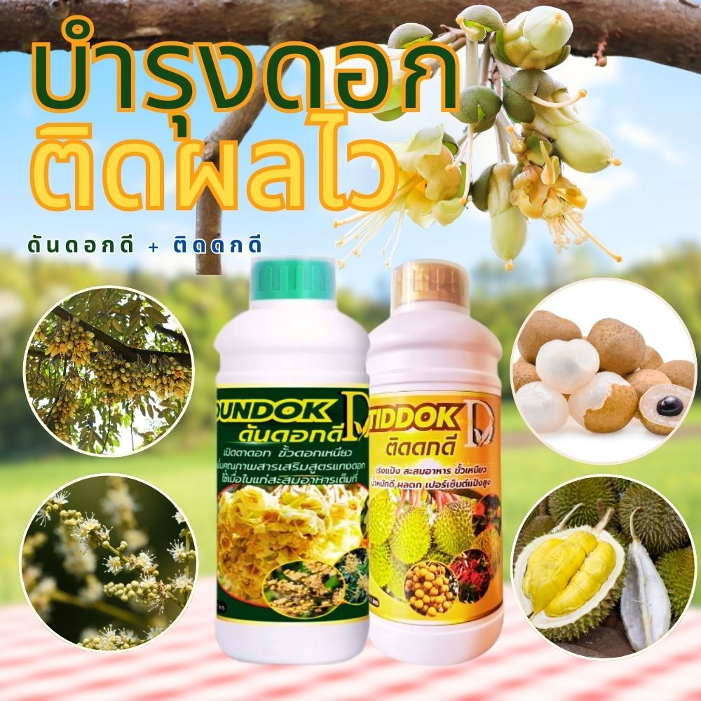 ดันดอกดี + ติดดกดี สารสกัด บำรุงดอก บำรุงผล ขั้วเหนียว ติดดก ดอกอวบ ผลแน่น