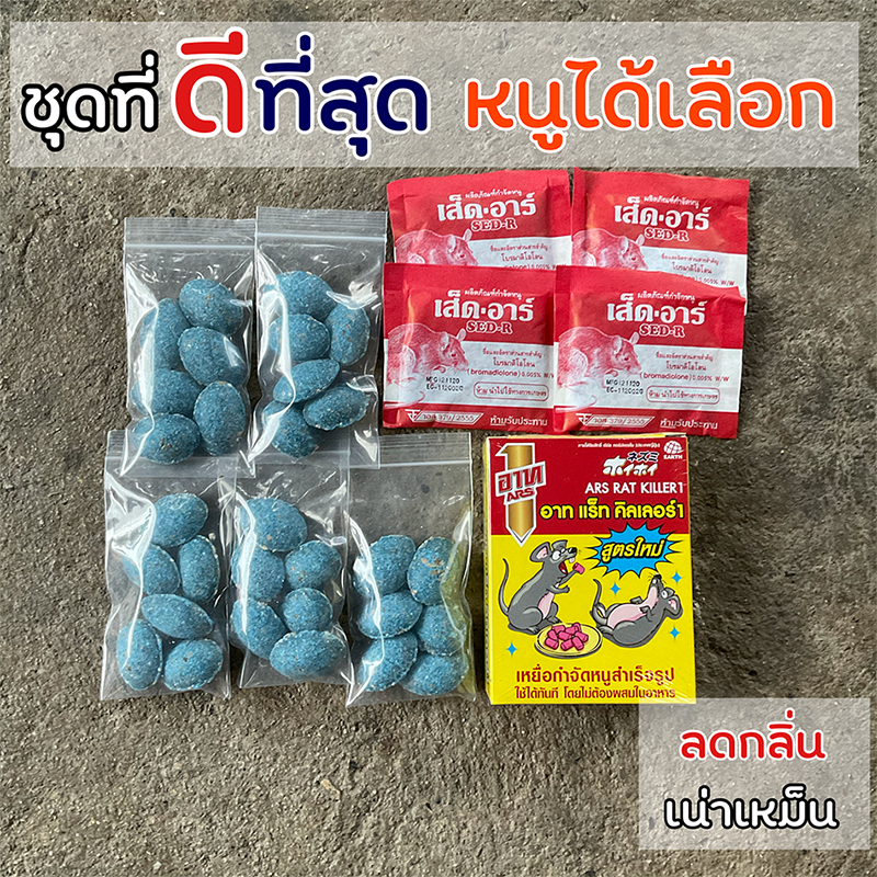 ยาเบื่อหนู ตายแห้ง ชุดที่ดีที่สุดจากการใช้งานจริง วางไว้เฉยๆ สำหรับหนูไม่เกิน 3 ตัว ไม่ต้องผสมอาหาร